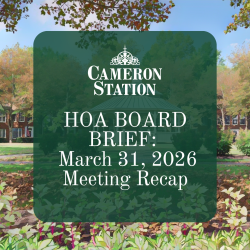 HOA Board Brief: March 31, 2026 Meeting Recap